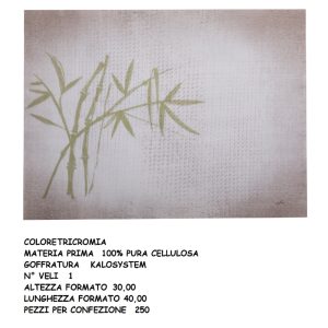 TOVAGLIETTA CARTA NEW ASIAN cm.30x40 x 250 Pz. 0414N [CELTEX207]