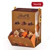 EXPO TESORI NASCOSTI SFUSO LINDT x Kg.1,1 (Pz.95 CIRCA) ART. 865845 [LINDT160]
