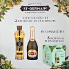 ST-GERMAIN FARDO CL.70 x 2 + 3 PROSECCO MARTINI OMAGGIO [MARTINI230]