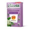 RICOLA FIOR DI SAMBUCO ASTUCCIO x 20 Pz. [RICOLA105]