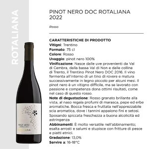 PINOT NERO DOC ROTALIANA 2022 Cl.75 x 6 Pz. [SARZIAMADE105]